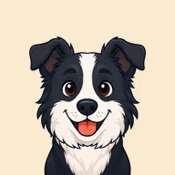 Border collie
