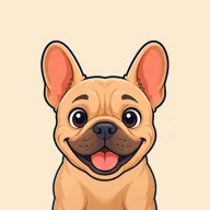 French bulldog
